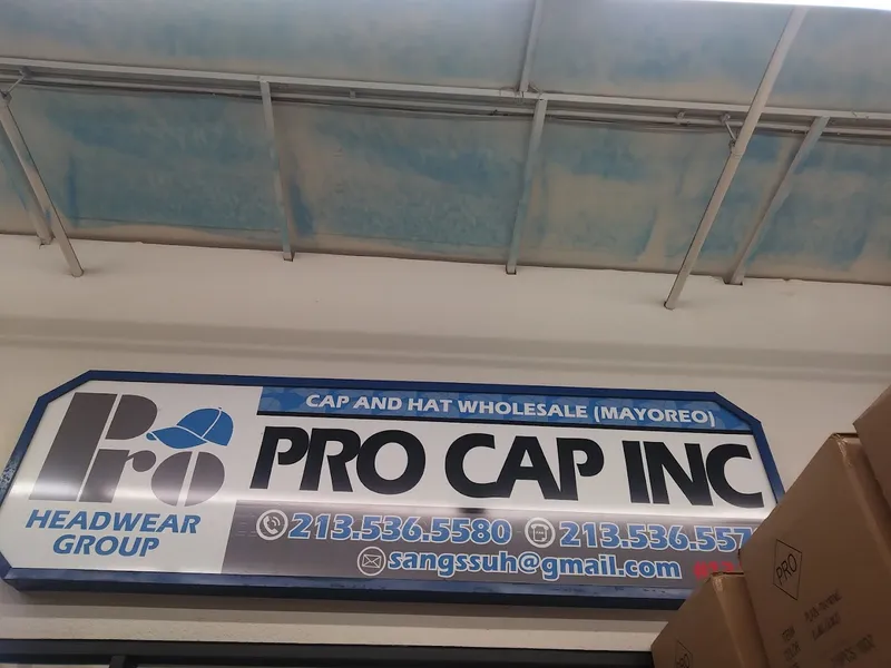 Pro Cap Inc.