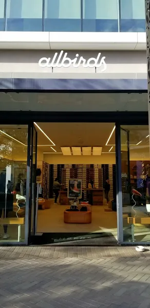 mens shoe stores Allbirds in University City