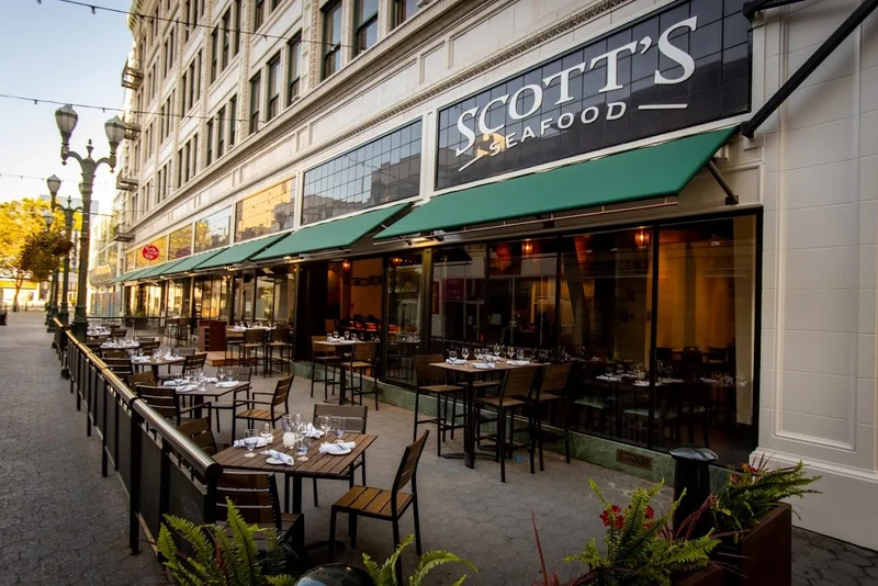 Top 12 calamari in Downtown San Jose San Jose