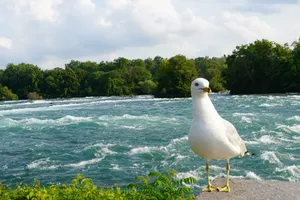 Top 10 photo spots in Niagara Falls