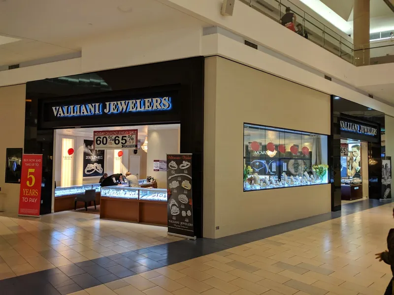 jewelry stores VALLIANI JEWELERS