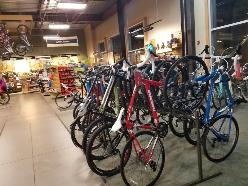 bike rentals REI