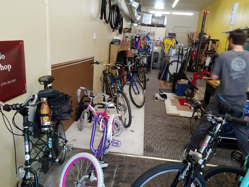 bike rentals Tower Velo Bicycle Shop