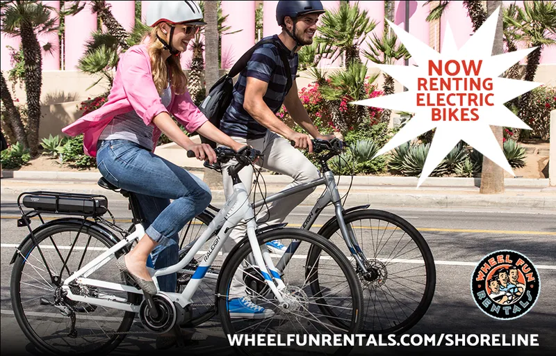 bike rentals Electric Bike Rentals by WFR