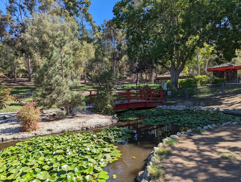 botanical gardens Doris Japanese Garden