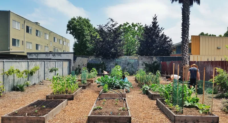 San Jose State Community Garden