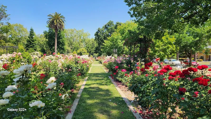 botanical gardens McKinley Rose Garden