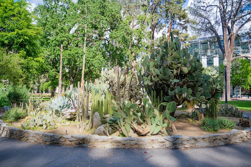 botanical gardens Desert Garden