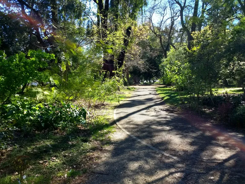 botanical gardens CSU Sacramento Arboretum