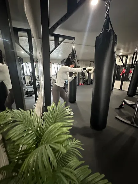 High Level Boxing & Fitness