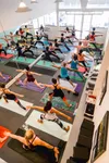 Best of 30 yoga classes in Oakland