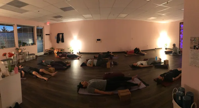 yoga classes Pink Salt Wellness