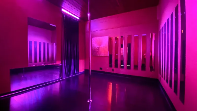 dance classes Sedusa Pole Dance Studio San Jose