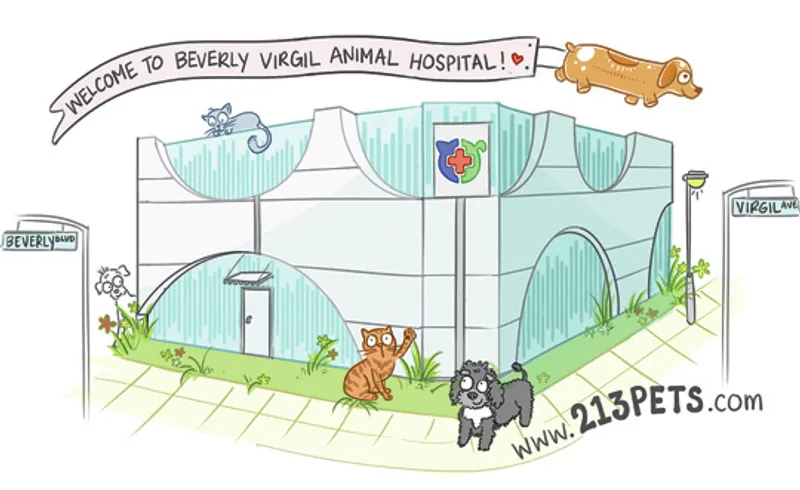 Beverly Virgil Animal Hospital