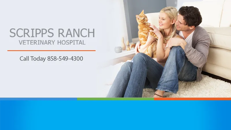 Scripps Ranch Veterinary Hospital