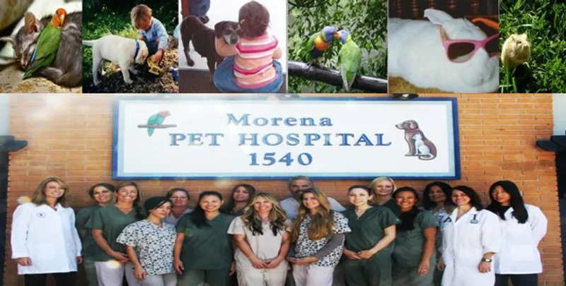 Morena Pet Hospital