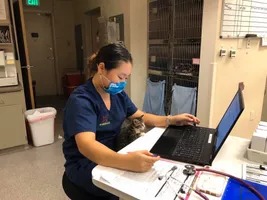 Best of 40 veterinarians in San Jose