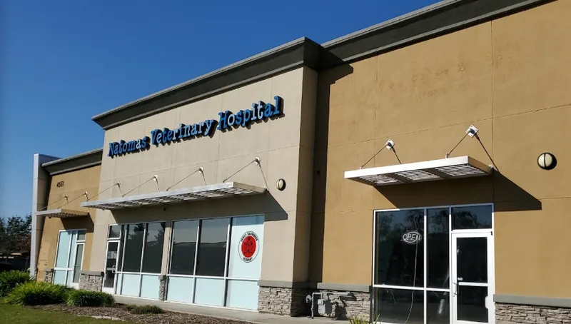 veterinarians Natomas Veterinary Hospital