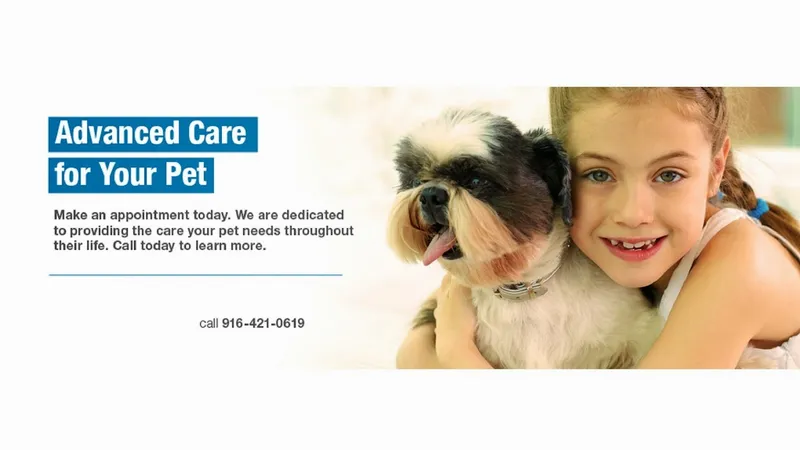 South Sacramento Pet Hospital