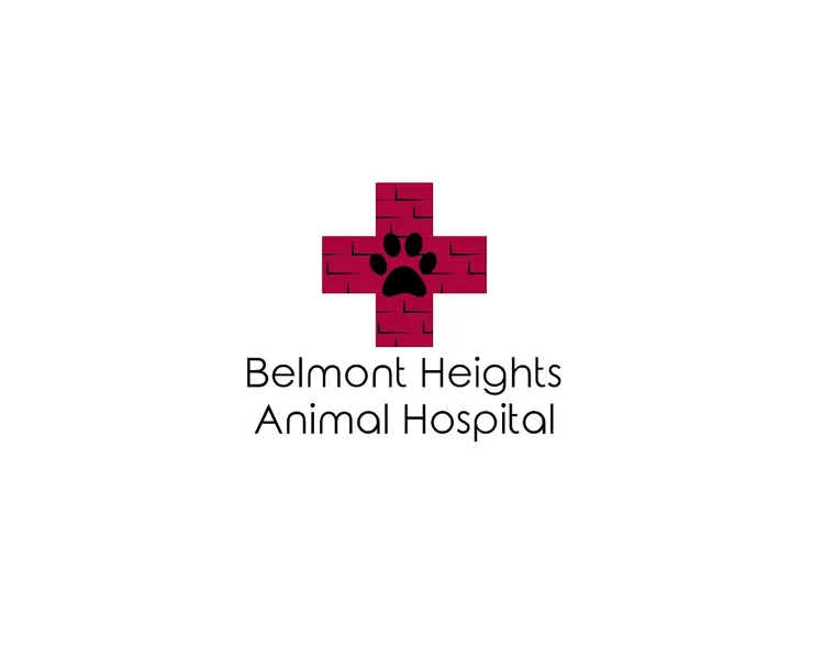 Belmont Heights Animal Hospital