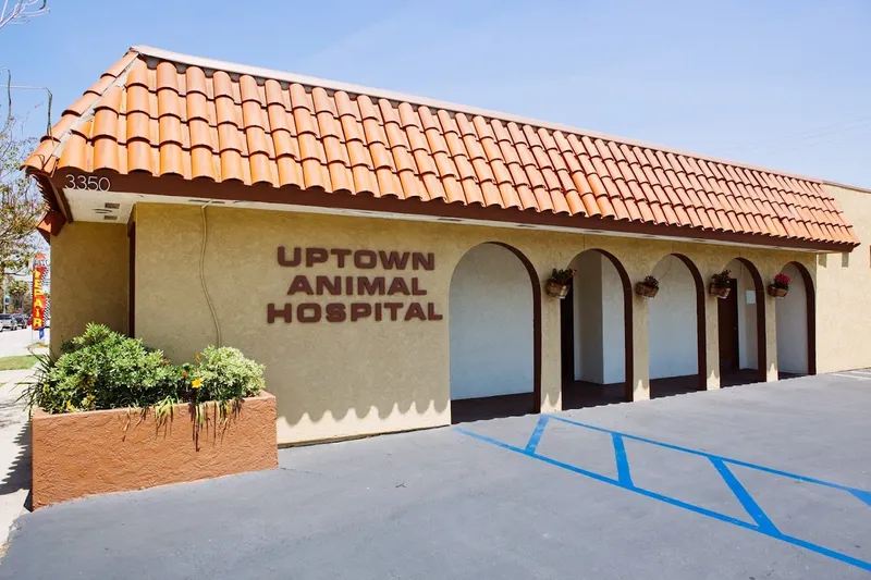 Uptown Animal Hospital Inc