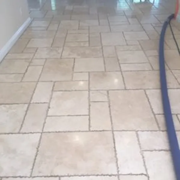 Leo's Holland Floor Maintenance