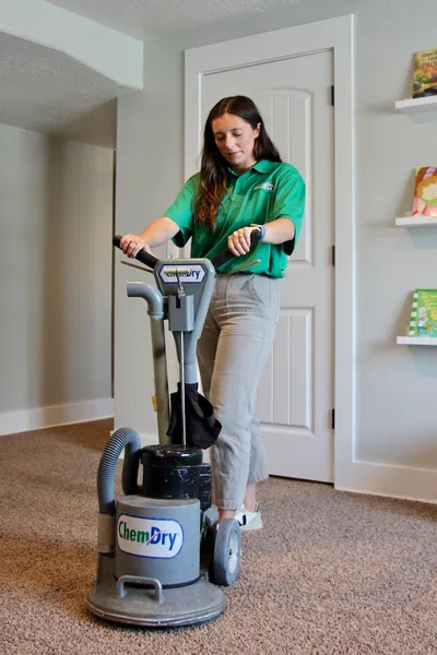 cleaning services Delta Chem-Dry Carpet & Upholstery Cleaning