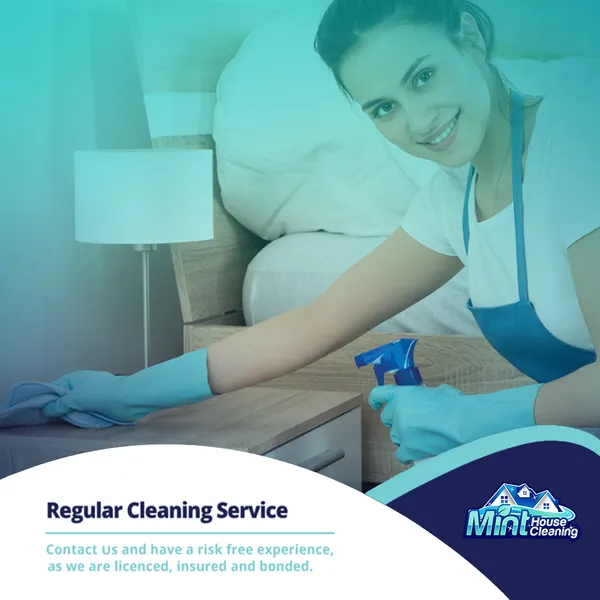 Mint House Cleaning