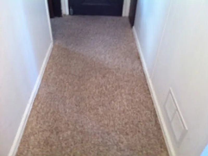 Heaven's Best Carpet Cleaning Long Beach