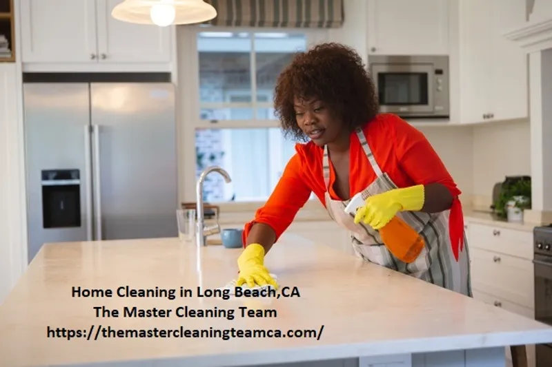 The Master Cleaning Team