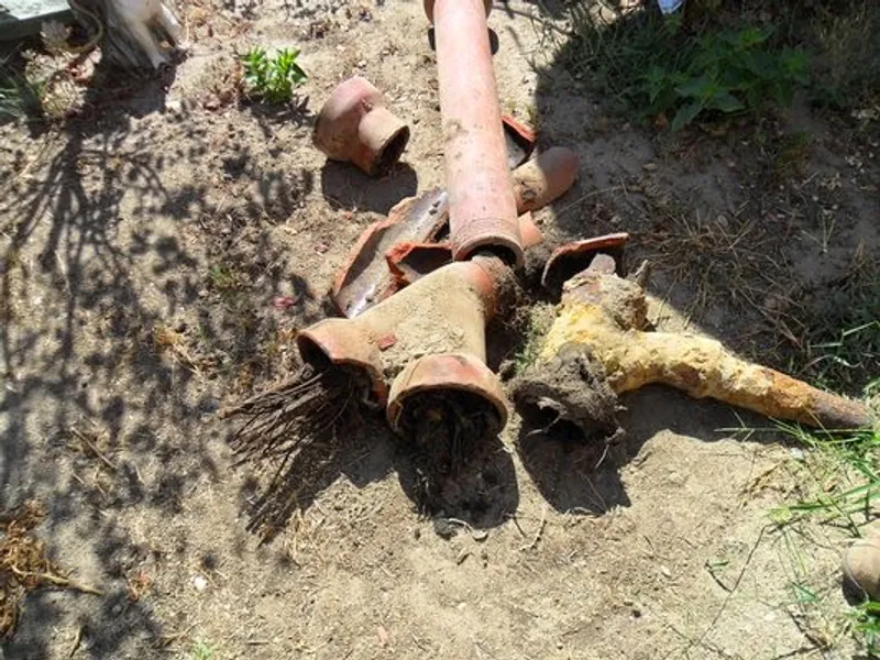 plumbers The Drain Defender in North Hollywood