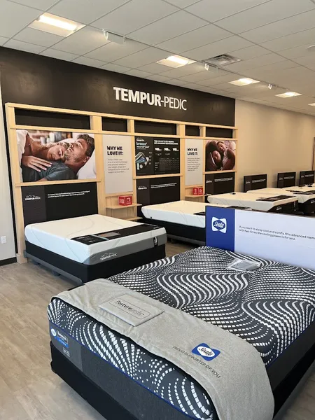 mattress stores Furniture Mattress