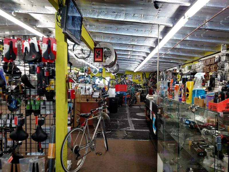 bike store Safety Cycle