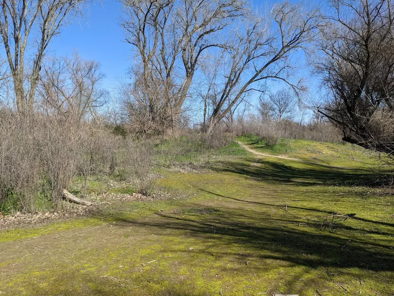 Glenn Hall Park