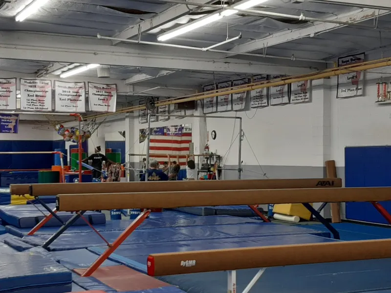 gymnastics classes Junior Gym- Home of Lyons Gymnastics Academy