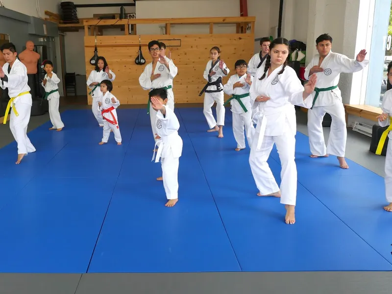Knowles Karate Academy