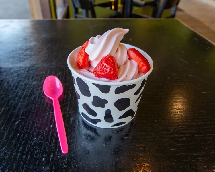 frozen yogurt Yogurt On The Rocks