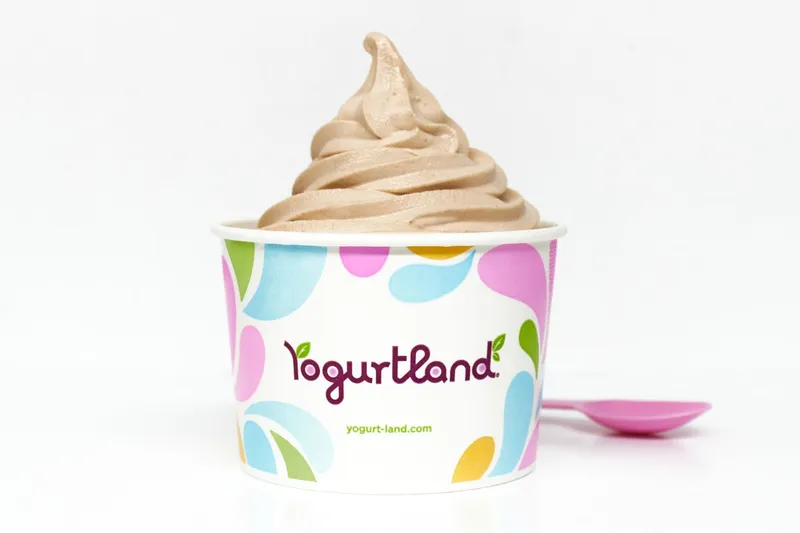 frozen yogurt Yogurtland San Diego