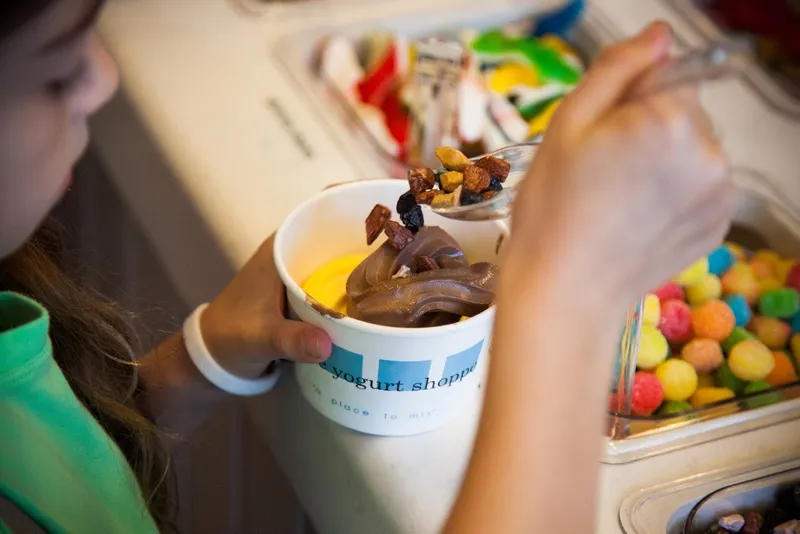 frozen yogurt The Yogurt Shoppe