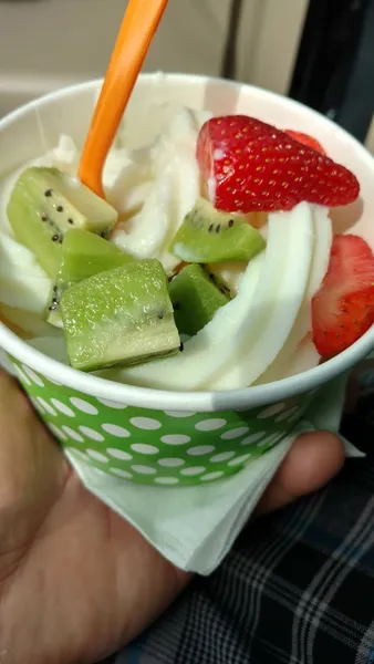 frozen yogurt Cantaloop Deserts. & Snacks