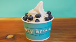 Top 11 frozen yogurt in San Francisco