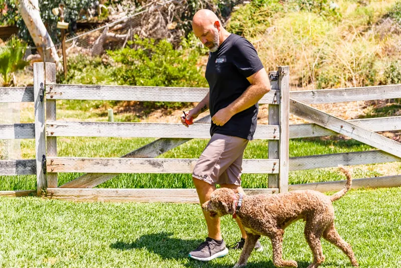 Balanced Canine Training SoCal - Santa Monica