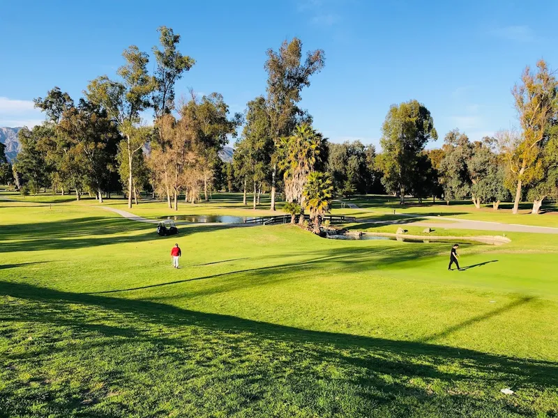 golf lessons Wilson & Harding Golf Courses