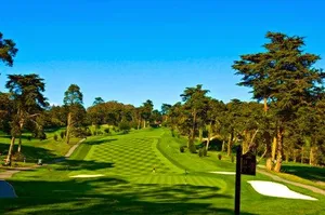 Top 20 golf lessons in San Francisco