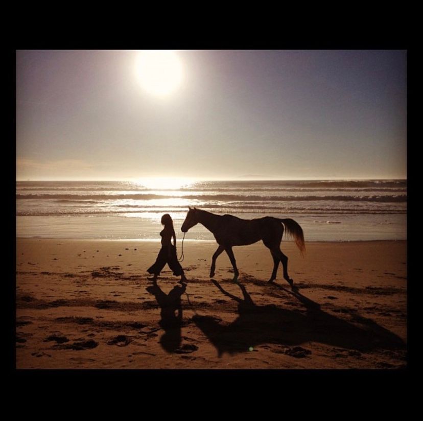 Best of 20 Horseback Riding Lessons in Los Angeles