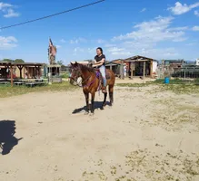 Top 20 Horseback Riding Lessons in San Diego