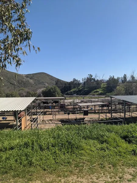 San Pasqual Valley Ranch & Devenport Training