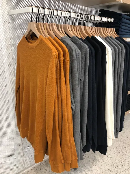 sweaters Everlane