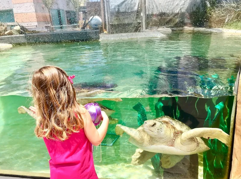 Things to do with kids Living Coast Discovery Center