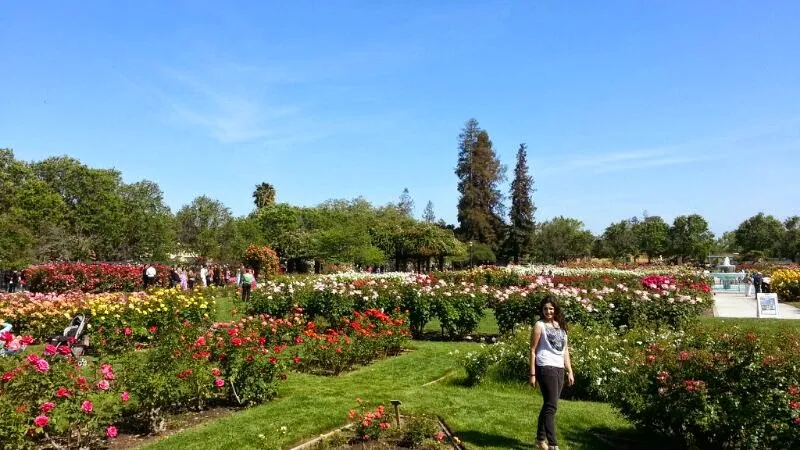 Things to do with kids Municipal Rose Garden